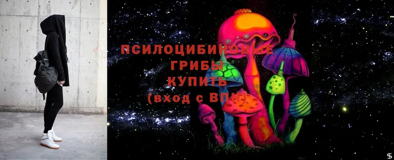 Галлюциногенные грибы MAGIC MUSHROOMS Калач